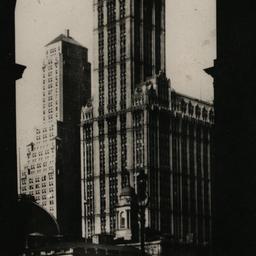 Woolworth Building. New York.