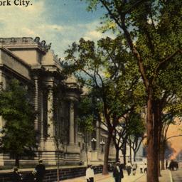 Fifth Avenue, North from 81...