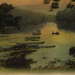 Bronx River, Bronx Park, N....