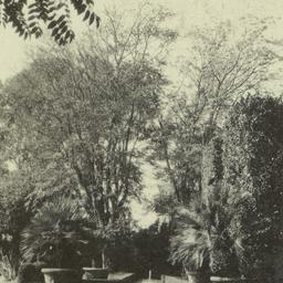 Page No. 027 - Rome, Villa ...