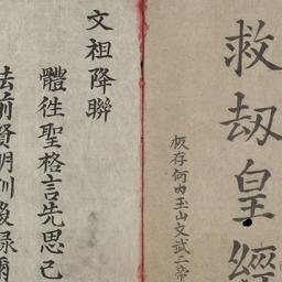 Cứu kiếp hoàng kinh