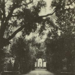 Page No. 019 - Rome, Villa ...