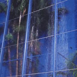 Detail of plants through gl...