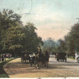 Driving in Central Park, Ne...