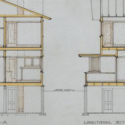 Cross, longitudinal sections