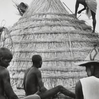 Thatched roof construction,...