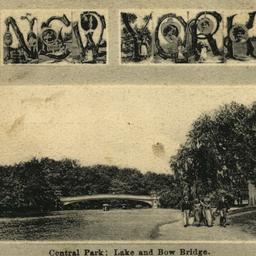 Souvenir of New York Centra...