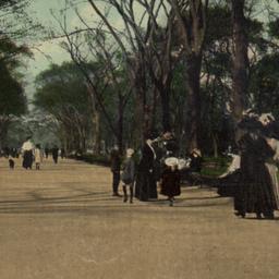 The Mall, Central Park, New...