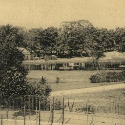 View of Pheasants Aviary Ne...