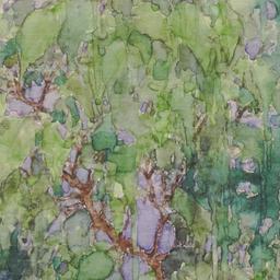 Watercolor drawing of tree.