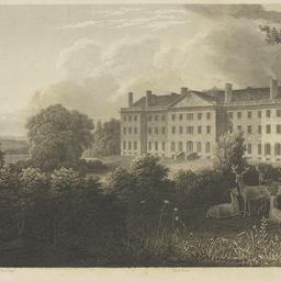 Lunatic Asylum, New York