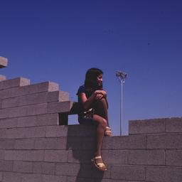 Exterior view, detail of gi...