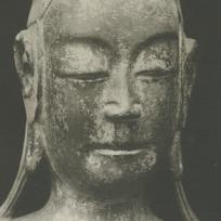 A close-up photograph of a ...