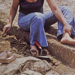 Woman excavating Egyptian s...