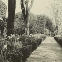 Page No. 029 - Rome, Villa ...