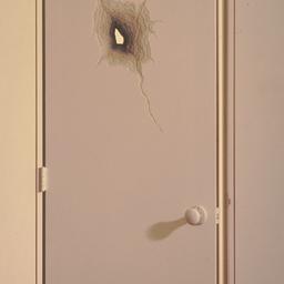 Model of door with hole.