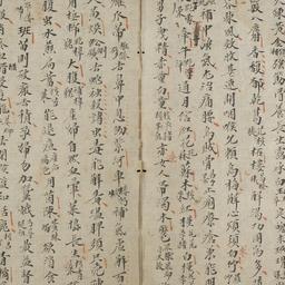 Trực giải chỉ nam tính...