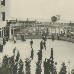 Ice Gardens, the Biltmore H...