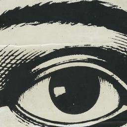 Eye bumper sticker
