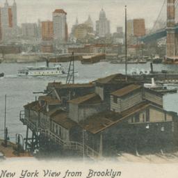 New York View from Brooklyn