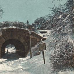 Bridge Over Walk Central Pa...