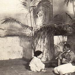 Count Anteoni's Garden ...
