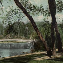 Veiw in Central Park, New Y...
