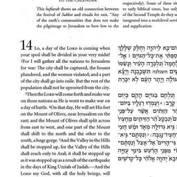 Handouts, 2002-10-16. The S...