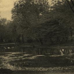View in Prospect Park, N. Y.