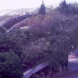 Steps with landscaping.