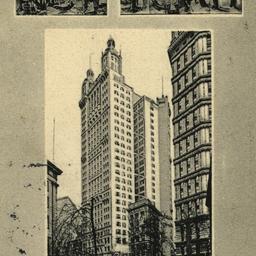 Souvenir of New York Park R...