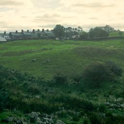 Rowhouses behind field with...