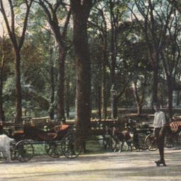 The Mall, Central Park, New...