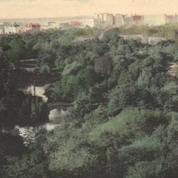 Looking Over Central Park, ...