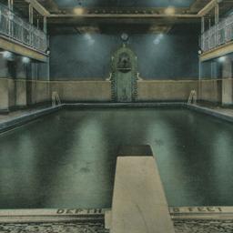 Shelton Pool