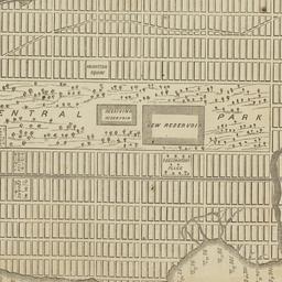 Map of the Central Park, Ne...