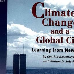 Related Publications, 2001-...