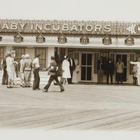 Incubation Institute on Boa...
