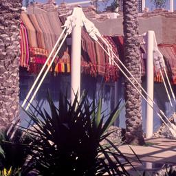 Tent supports.