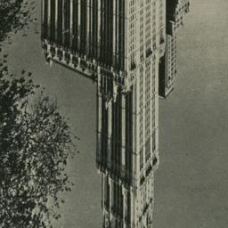 Woolworth Bldg., New York