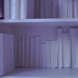 Interior view, detail of li...