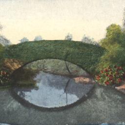 Vine Arch Bridge, Central P...