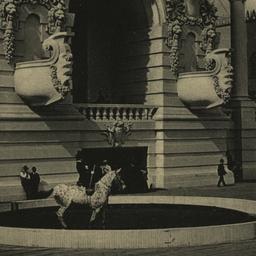 Dreamland: Open Air Circus ...