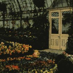 Greenhouse in Prospect Park...