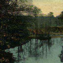 View of Bronx River, Bronx ...