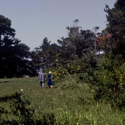 People walking through mead...