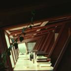 2020.003 / Taliesin West co...