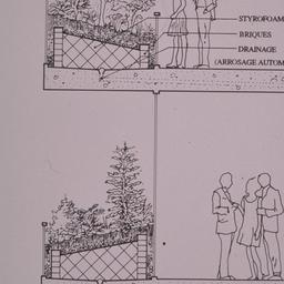 Mur de Verre -- Terrarium. ...