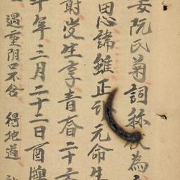 Độ vong