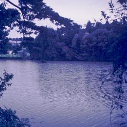 View of river.
